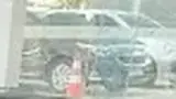 BYD Dolphin Mini - Miniatura 4