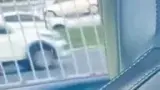 BYD Dolphin Mini - Miniatura 14