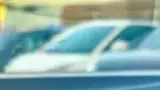 BYD Dolphin Mini - Miniatura 15