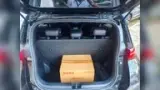 BYD Dolphin Mini - Miniatura 18