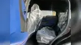BYD Dolphin Mini - Miniatura 10