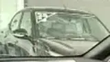 BYD Dolphin - Miniatura 9