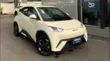 BYD Dolphin Mini - Miniatura 1