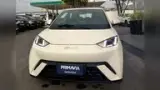 BYD Dolphin Mini - Miniatura 2