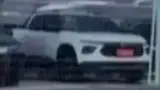 BYD Dolphin Mini - Miniatura 3