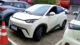 BYD Dolphin Mini - Miniatura 2