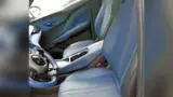 BYD Dolphin Mini - Miniatura 8