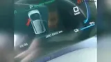 BYD Dolphin Mini - Miniatura 11
