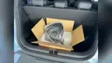 BYD Dolphin Mini - Miniatura 13
