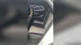 BYD Dolphin - Miniatura 1