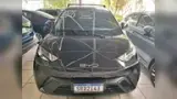 BYD Dolphin Mini - Miniatura 1