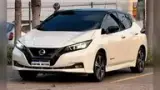 Nissan Leaf - Miniatura 1