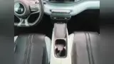 BYD Dolphin Mini - Miniatura 12
