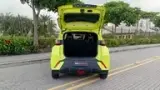 BYD Dolphin Mini - Miniatura 7