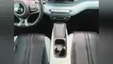 BYD Dolphin Mini - Miniatura 13