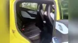 BYD Dolphin Mini - Miniatura 15