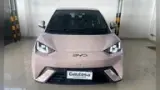 BYD Dolphin Mini - Miniatura 1