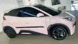 BYD Dolphin Mini - Miniatura 3