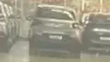 BYD Dolphin Mini - Miniatura 4