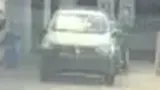 BYD Dolphin Mini - Miniatura 7