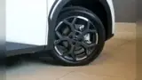 BYD Dolphin - Miniatura 17