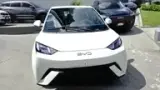 BYD Dolphin Mini - Miniatura 4