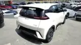 BYD Dolphin Mini - Miniatura 6