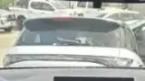 BYD Dolphin Mini - Miniatura 13