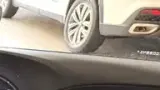 BYD Dolphin Mini - Miniatura 6