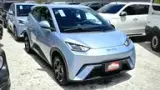 BYD Dolphin Mini - Miniatura 1