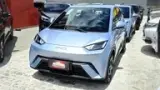 BYD Dolphin Mini - Miniatura 4