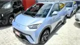 BYD Dolphin Mini - Miniatura 6