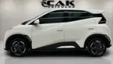 BYD Dolphin - Miniatura 6