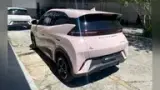 BYD Dolphin Mini - Miniatura 4