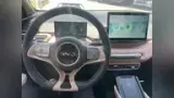 BYD Dolphin Mini - Miniatura 9