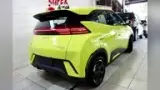 BYD Dolphin Mini - Miniatura 4