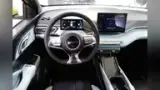 BYD Dolphin Mini - Miniatura 10