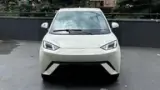BYD Dolphin Mini - Miniatura 1