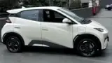 BYD Dolphin Mini - Miniatura 2