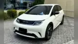BYD Dolphin - Miniatura 1
