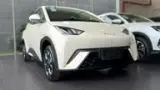 BYD Dolphin Mini - Miniatura 2