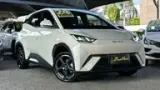 BYD Dolphin Mini - Miniatura 1