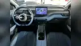 BYD Dolphin Mini - Miniatura 7