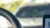 BYD Dolphin Mini - Miniatura 10