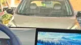 BYD Dolphin Mini - Miniatura 16