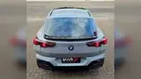 BMW IX2 - Miniatura 14
