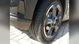 BYD Dolphin Mini - Miniatura 7