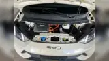 BYD Dolphin Mini - Miniatura 16