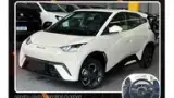 BYD Dolphin - Miniatura 1