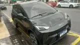 BYD Dolphin Mini - Miniatura 1